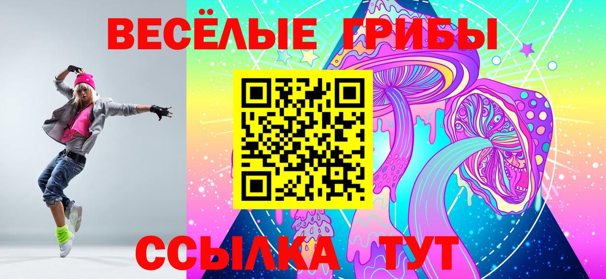 даркнет сайт  Вход с VPN  Псилоцибиновые грибы Psilocybine cubensis  Орск  Псилоцибиновые грибы GOLDEN TEACHER 