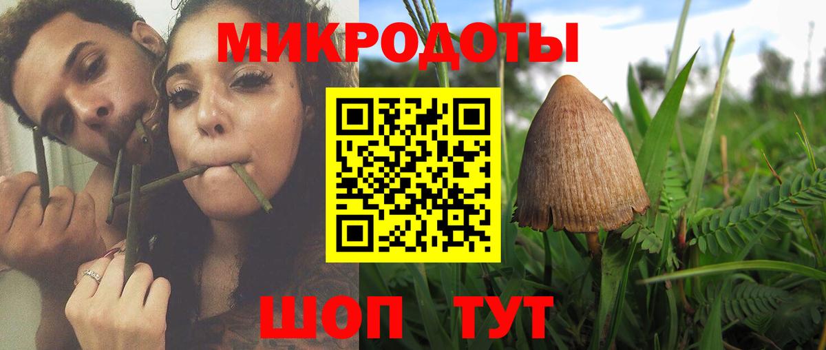 Галлюциногенные грибы Magic Shrooms Орск